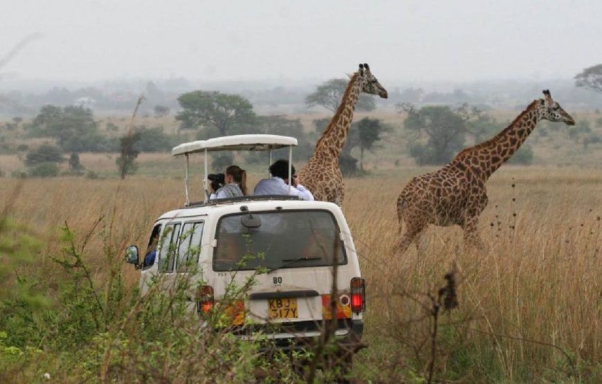 5 Kenya national parks – 6 day Jeep Safari