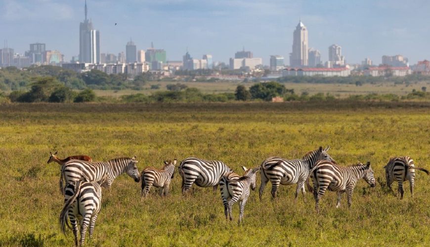 5 of The Best places to visit in Nairobi