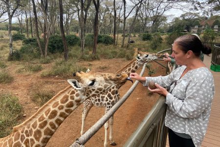 a visit to the giraffe center