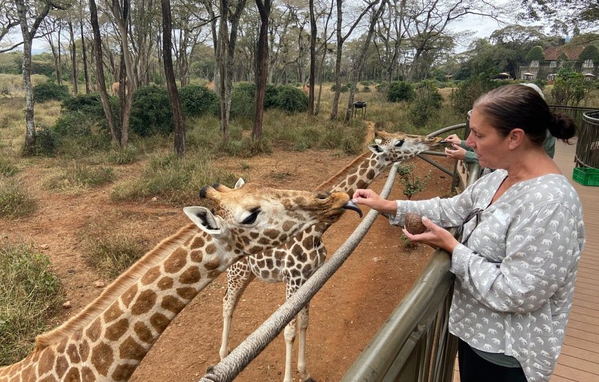 Nairobi national park elephant orphanage and giraffe center day tour