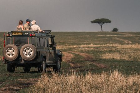 3 days 2 nights safari by private  jeep